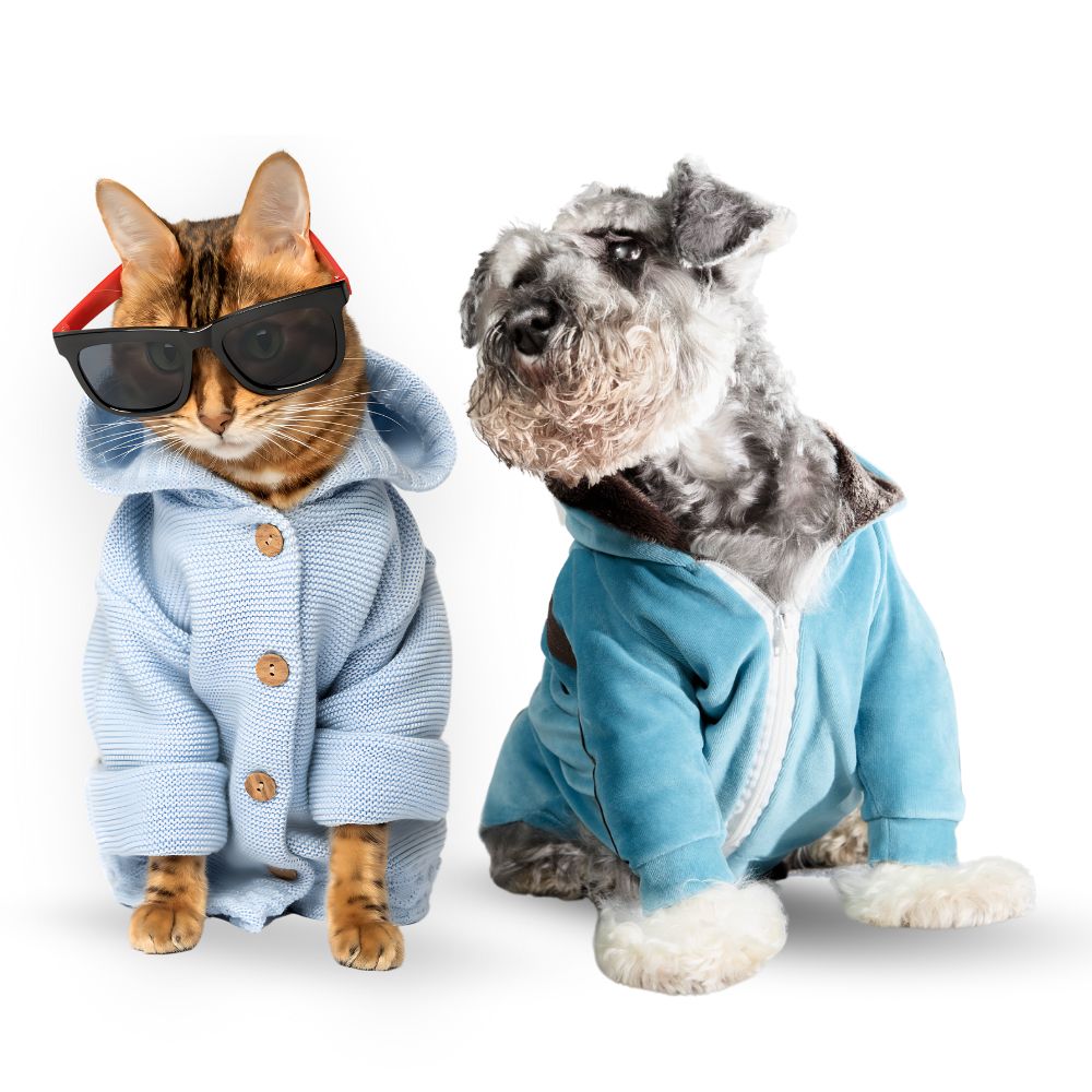 pet apparel and fashion