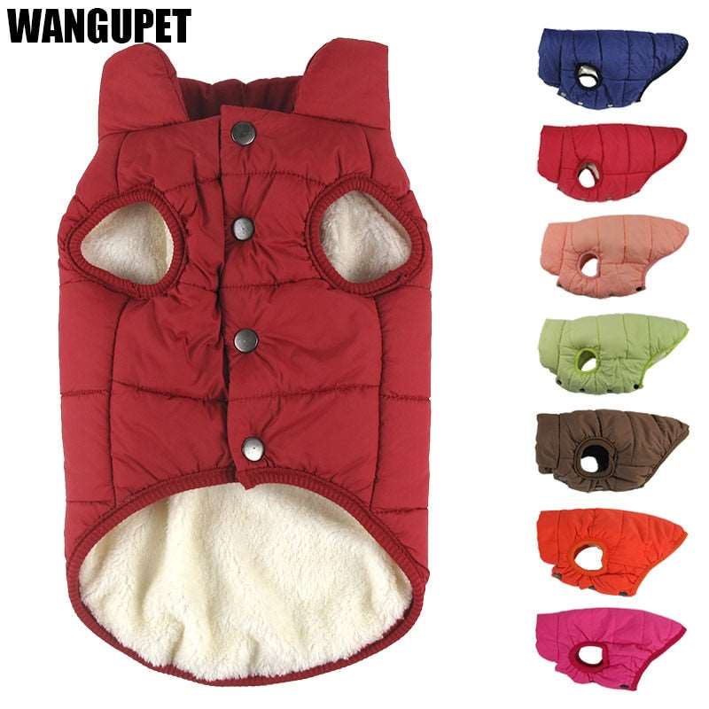 winter warm pet coat for dogs cozy and comfortable