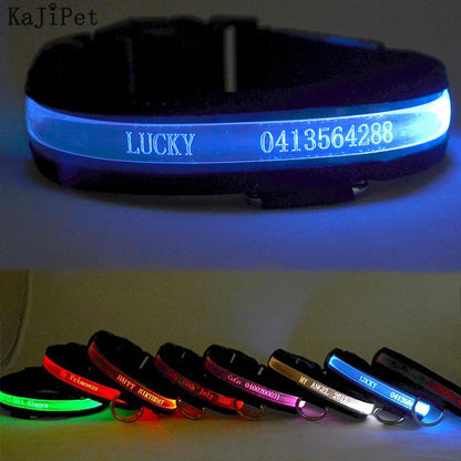 Custom LED Dog Collar: Personalized Night Safety