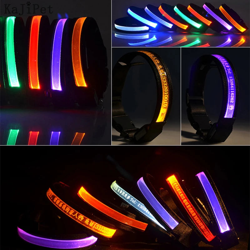 Custom LED Dog Collar: Personalized Night Safety