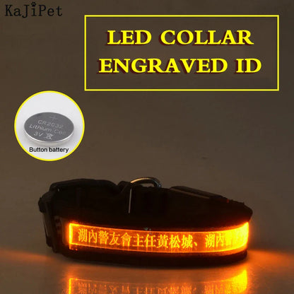 Custom LED Dog Collar: Personalized Night Safety