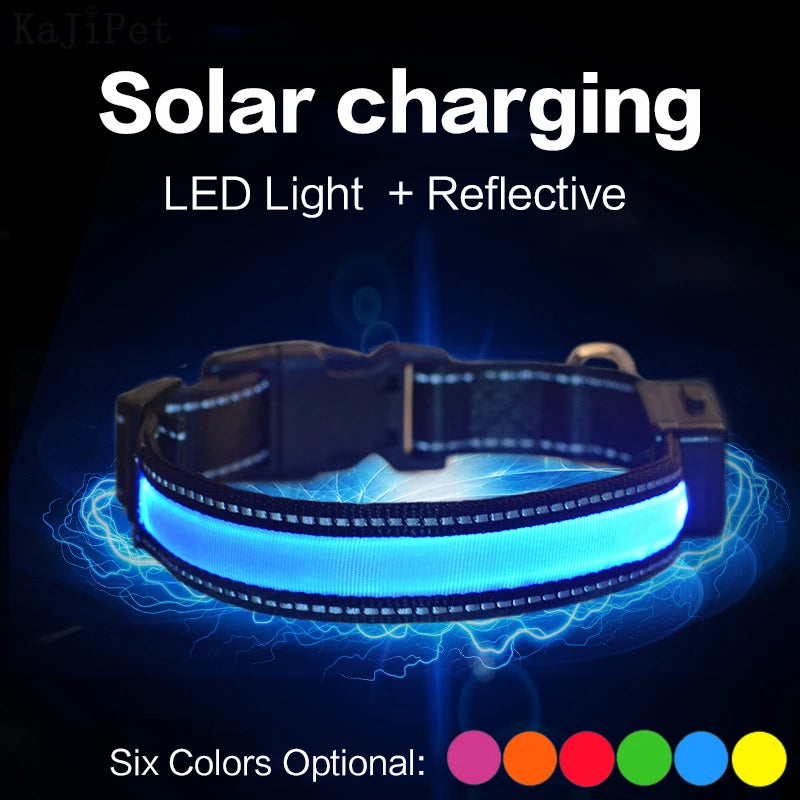 Solar Charging LED Collar: Nighttime Visibility