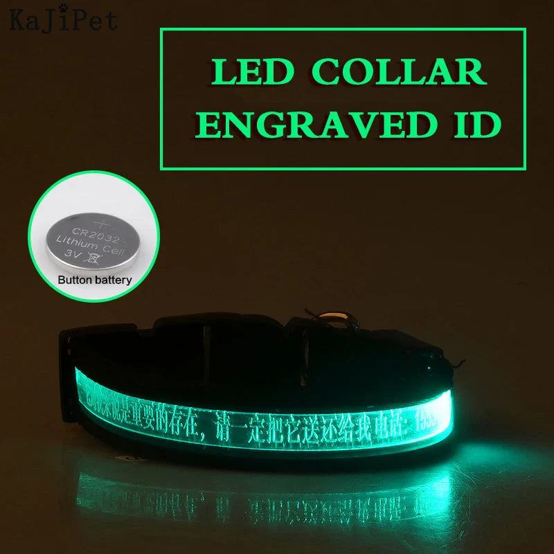 Custom LED Dog Collar: Personalized Night Safety