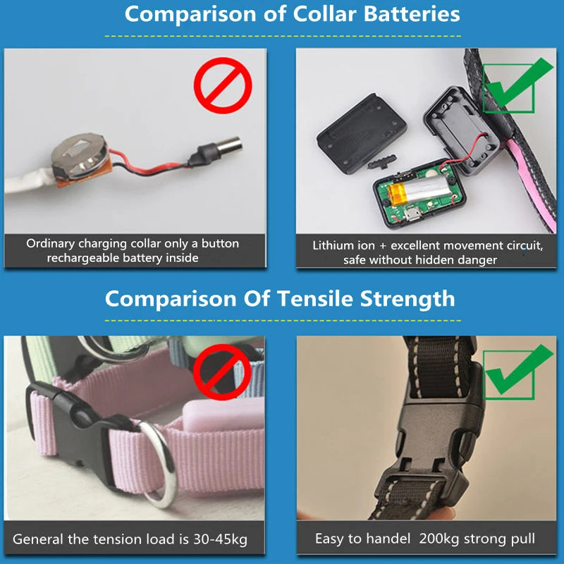 Solar Charging LED Collar: Nighttime Visibility