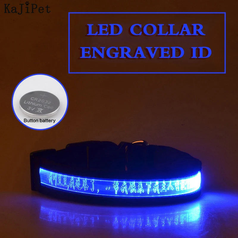 Custom LED Dog Collar: Personalized Night Safety