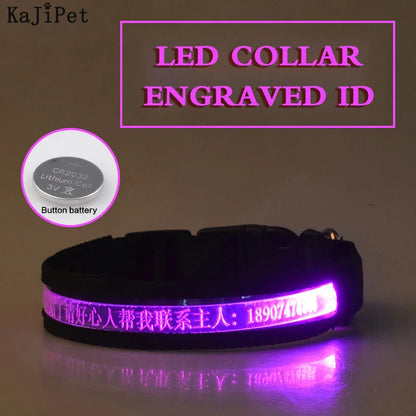 Custom LED Dog Collar: Personalized Night Safety