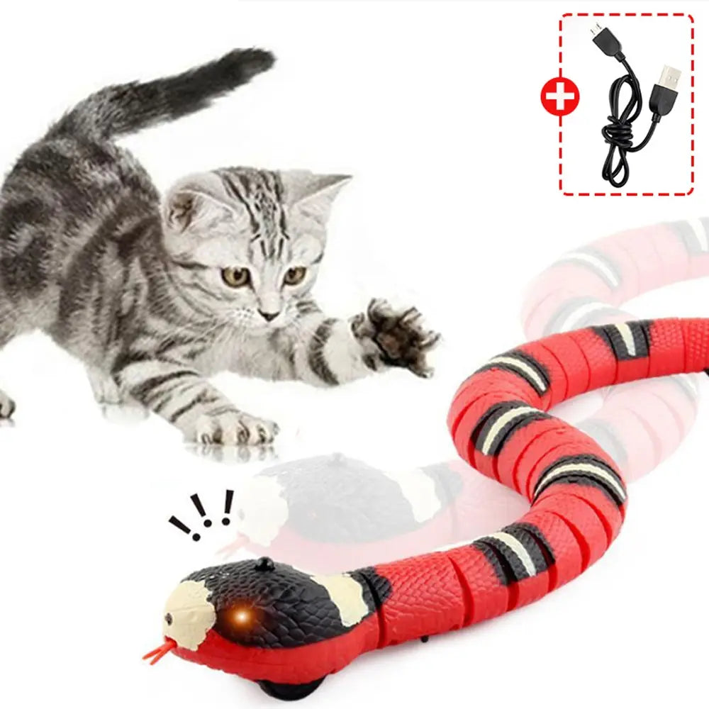 Interactive Snake Cat Toy: Smart and Playful