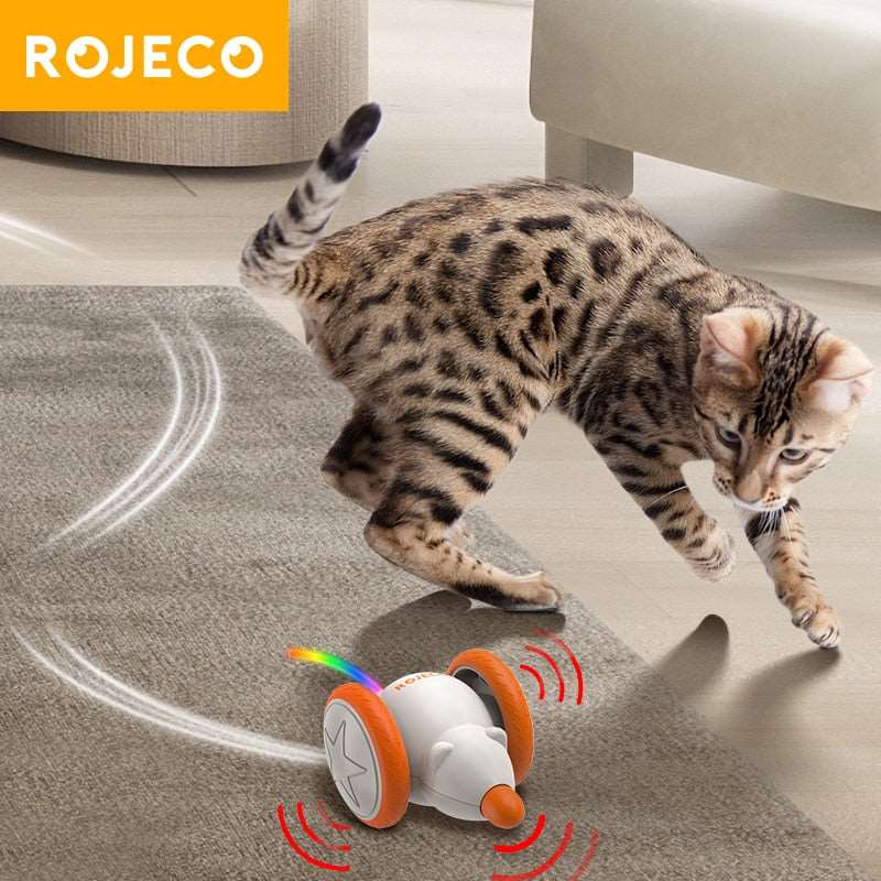 automatic cat toy