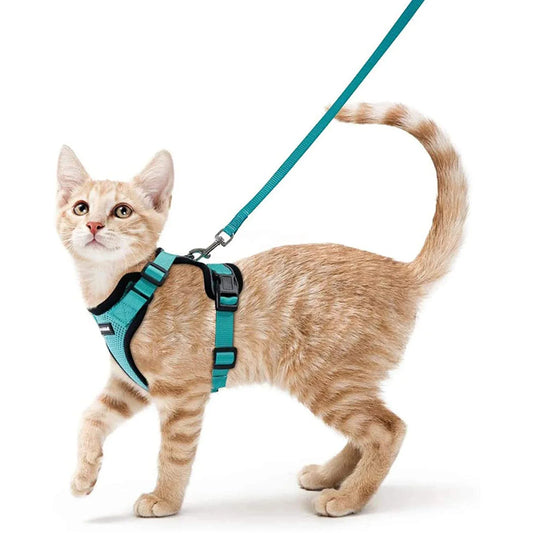 Soft Mesh Small Cat Harness and Leash Set