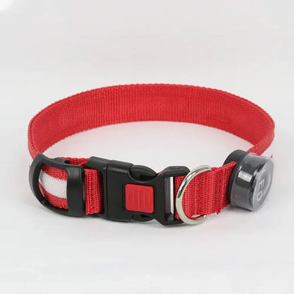 Light-Up Dog Collar: Walk Safely After Dark