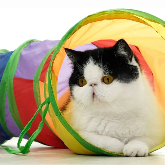 Foldable Cat Tunnel Tube Kitty Training Interactive Toy