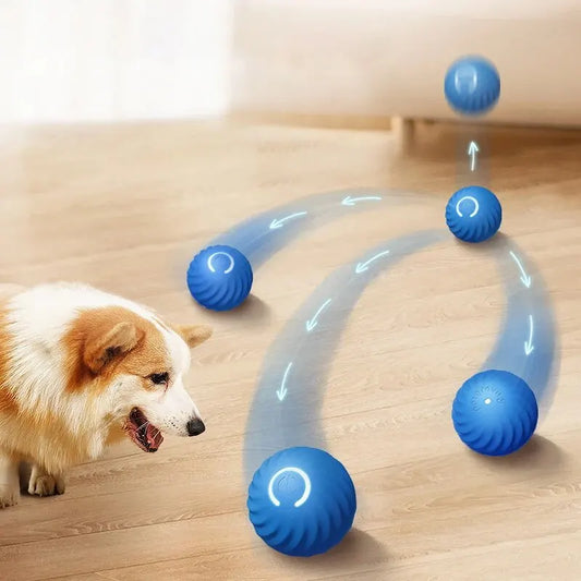 Bite-Resistant Interactive Pet Toy: Smart Ball with Gravity