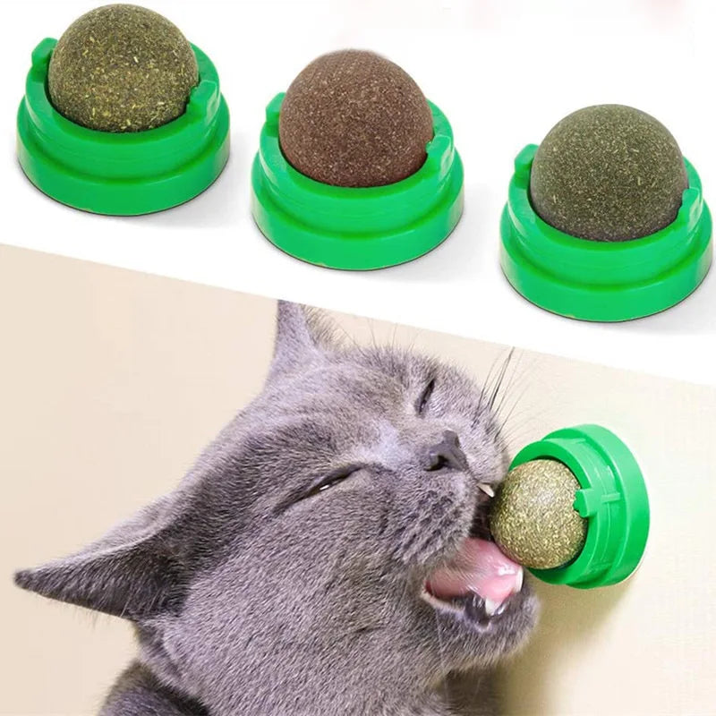 natural catnip cat wall stick on ball toy scratchers treats healthy natural removes balls to promote digestion cat grass snack