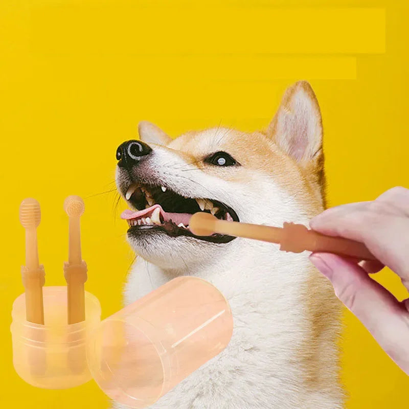 Silicone Toothbrush: Dental Care for Dogs and Cats