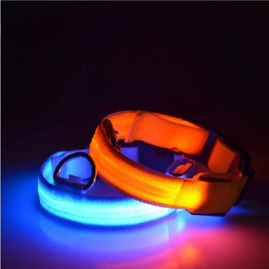 Nylon Dog Collar, Glowing, Luminous