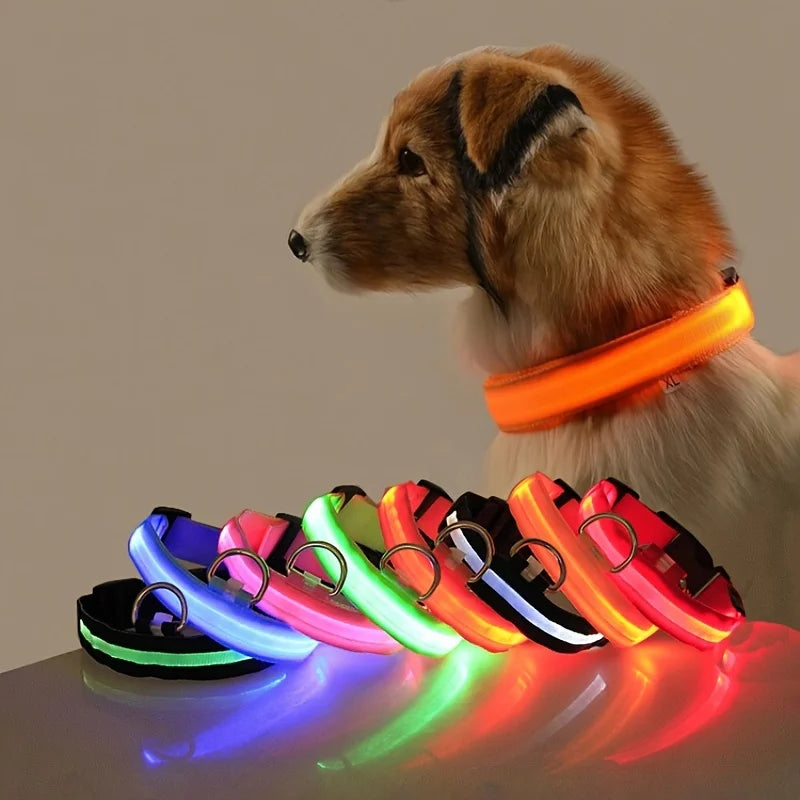 LED Night Safety Dog Leash for Evening Walks