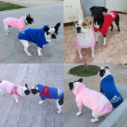 sweatshirt hoodie pet jacket