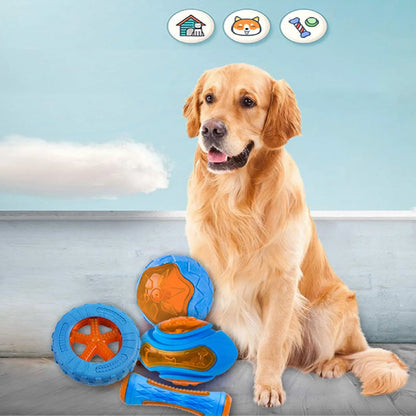 Rubber Dog Toys—Chewing and Bite Resistant