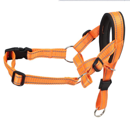 Secure & Comfortable Dog Muzzle with Lead