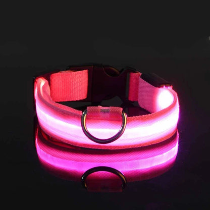 LED Night Safety Dog Leash for Evening Walks