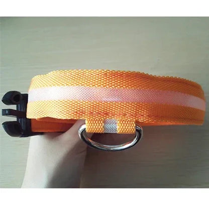 Nylon Dog Collar, Glowing, Luminous