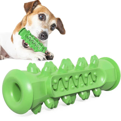 Rubber Dental Chew Toy: Teeth Cleaning