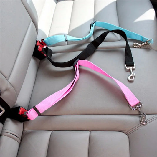 Car Seat Belt for Dogs: Safety on the Go