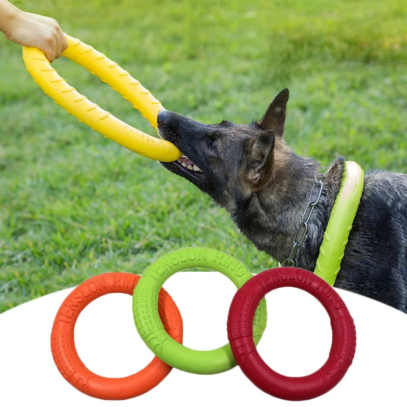 Pet Flying Disk Training Ring for Active Play