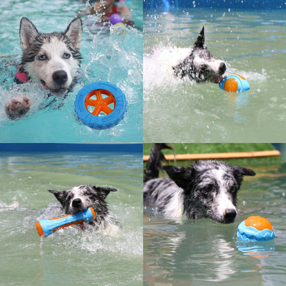 Rubber Dog Toys—Chewing and Bite Resistant