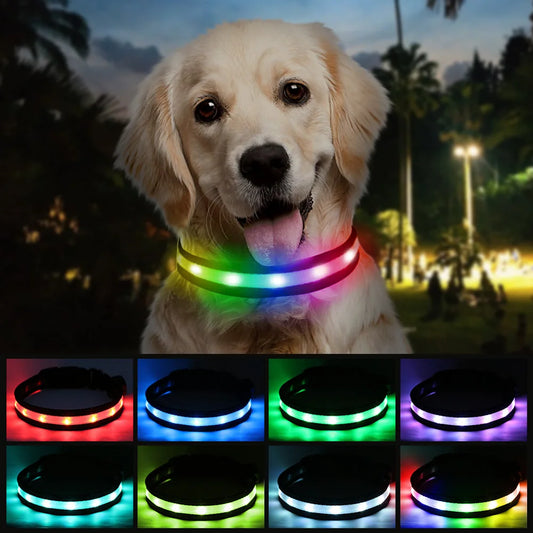 Light-Up Dog Collar: Walk Safely After Dark