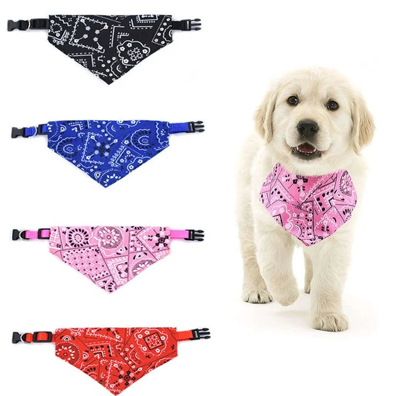 Adjustable Pet Collar with Saliva Towel