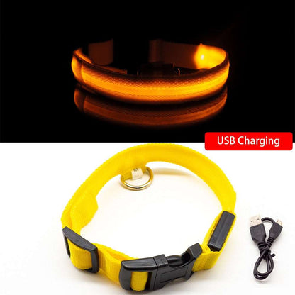 Anti-Lost LED Dog Collar