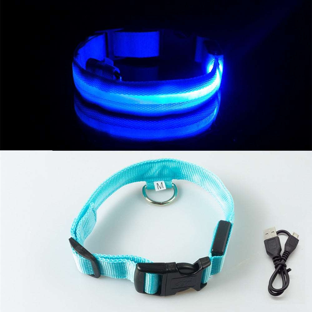 Anti-Lost LED Dog Collar