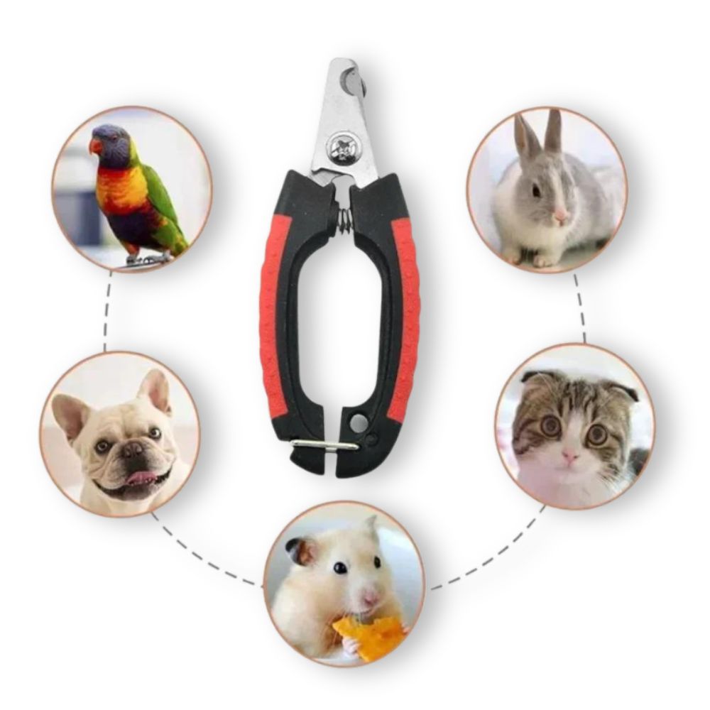 Professional Stainless Steel Pet Nail Clipper