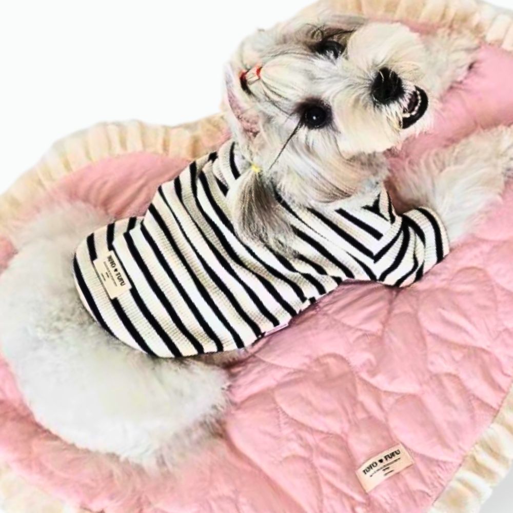 Pet Cute Stripe Cardigan