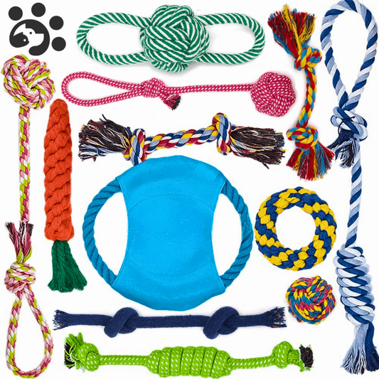 interactive dog rope toy