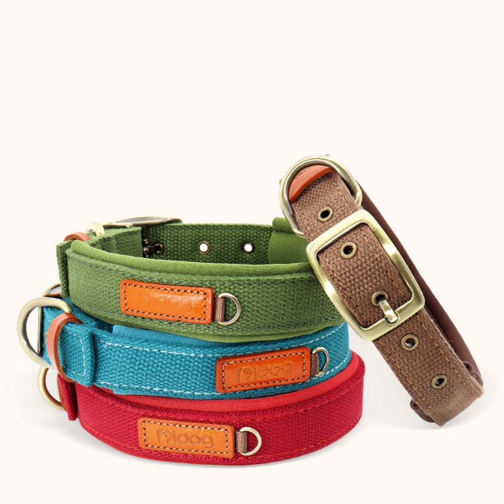 pet collars