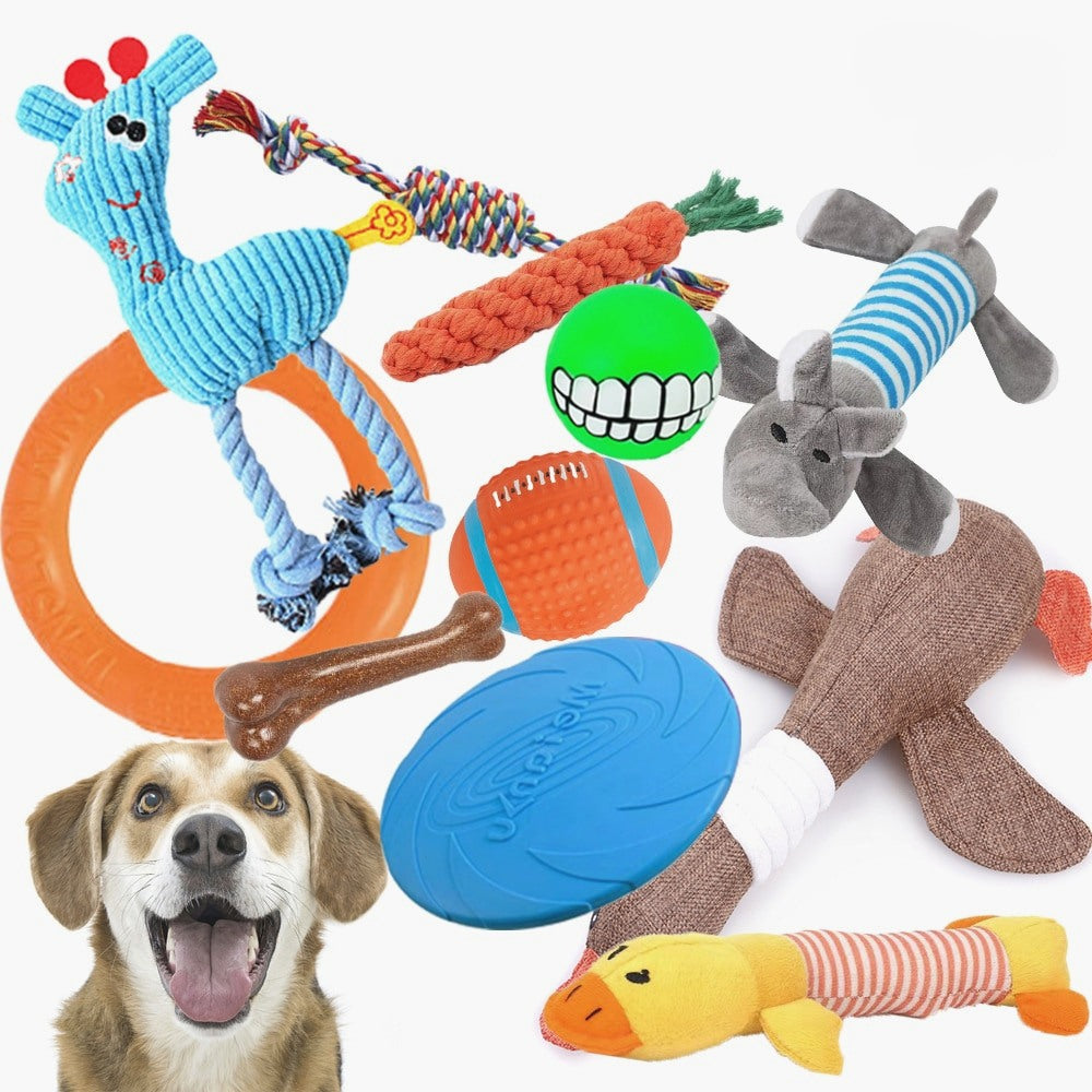 pcs dog toy set