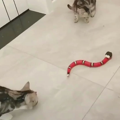 Interactive Snake Cat Toy: Smart and Playful