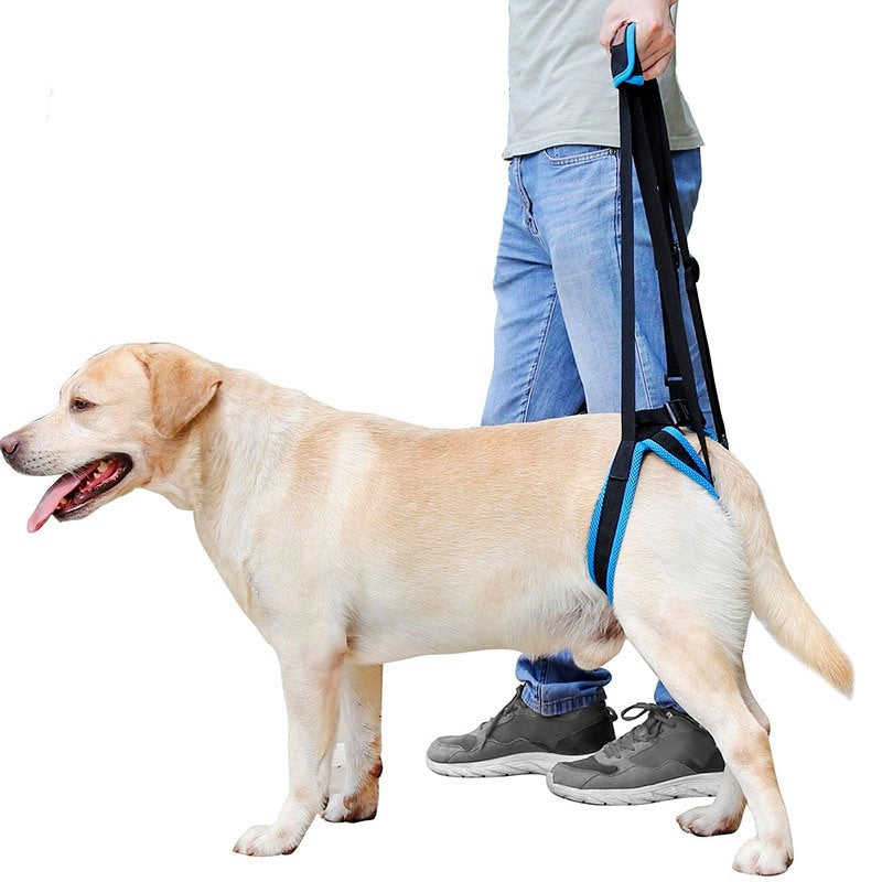 supportive dog lift harness for back legs