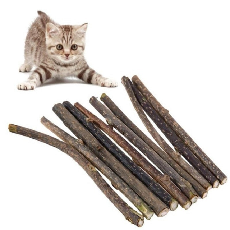 catnip toys for cats natural and fun