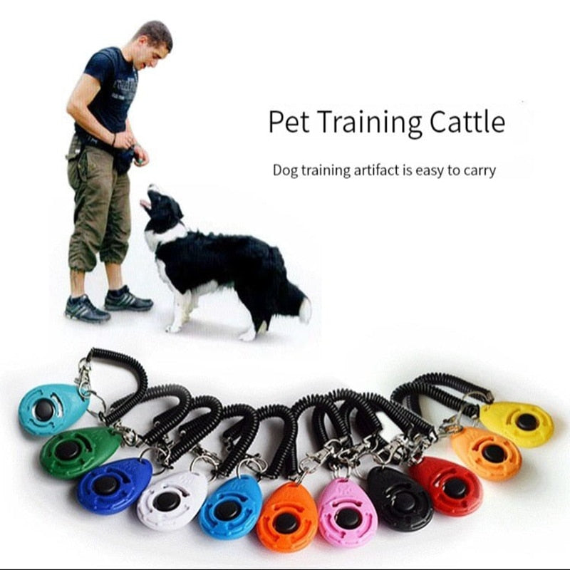 cat dog clicker training tool