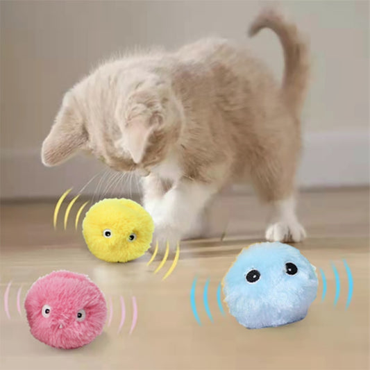 cat toy ball with sounds