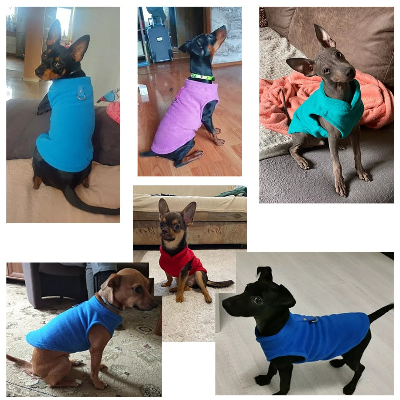 stylish and warm fleece for dogs