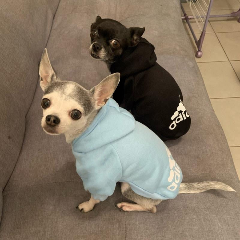 sweatshirt hoodie pet jacket