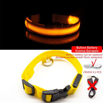 anti lost led dog collar