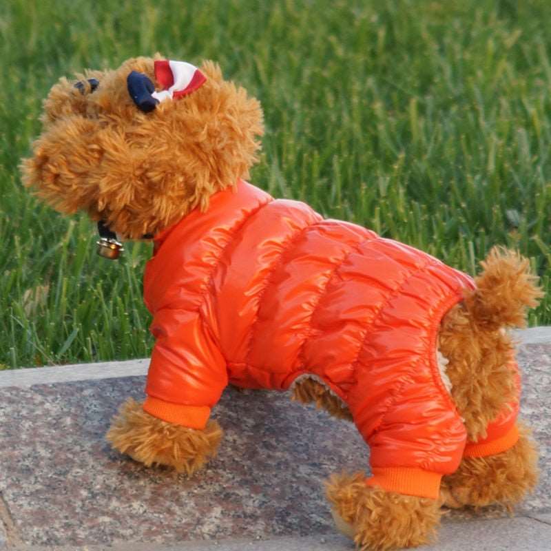 bread design winter dog down jacket