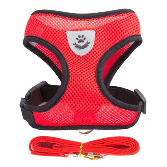 soft breathable cat harness comfort and safety