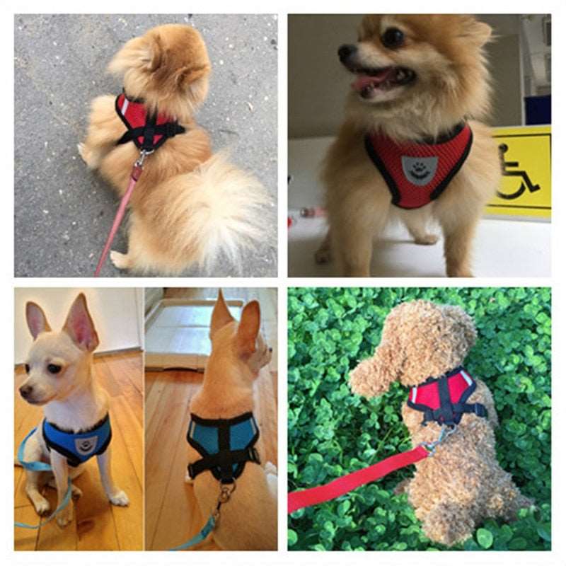 soft breathable cat harness comfort and safety