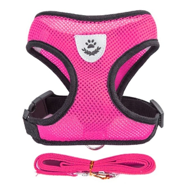 soft breathable cat harness comfort and safety